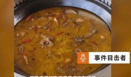 爆料铁锅炖大鹅视频,揭秘家常美食背后的烹饪奥秘